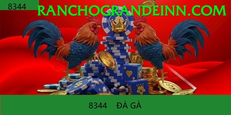 Đá Gà Trực Tiếp - v8club