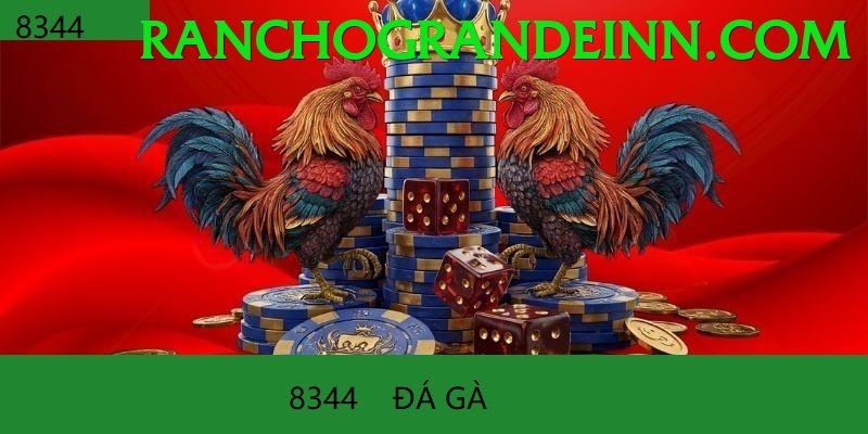 Trường Đấu Đá Gà Chuyên Nghiệp